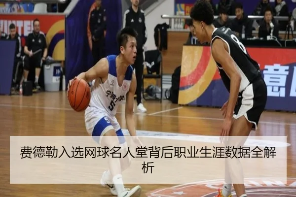 费德勒入选网球名人堂背后职业生涯数据全解析